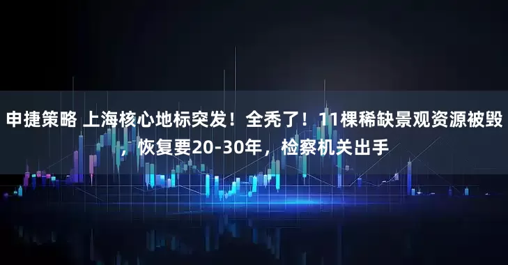 申捷策略 上海核心地标突发！全秃了！11棵稀缺景观资源被毁，恢复要20-30年，检察机关出手