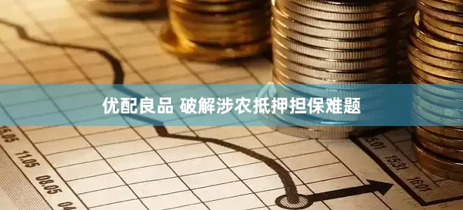 优配良品 破解涉农抵押担保难题